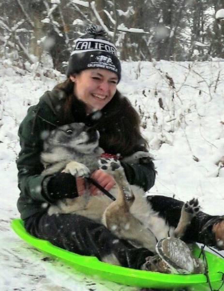 Bildschirmarbeiter - Picdump 23.12.2016