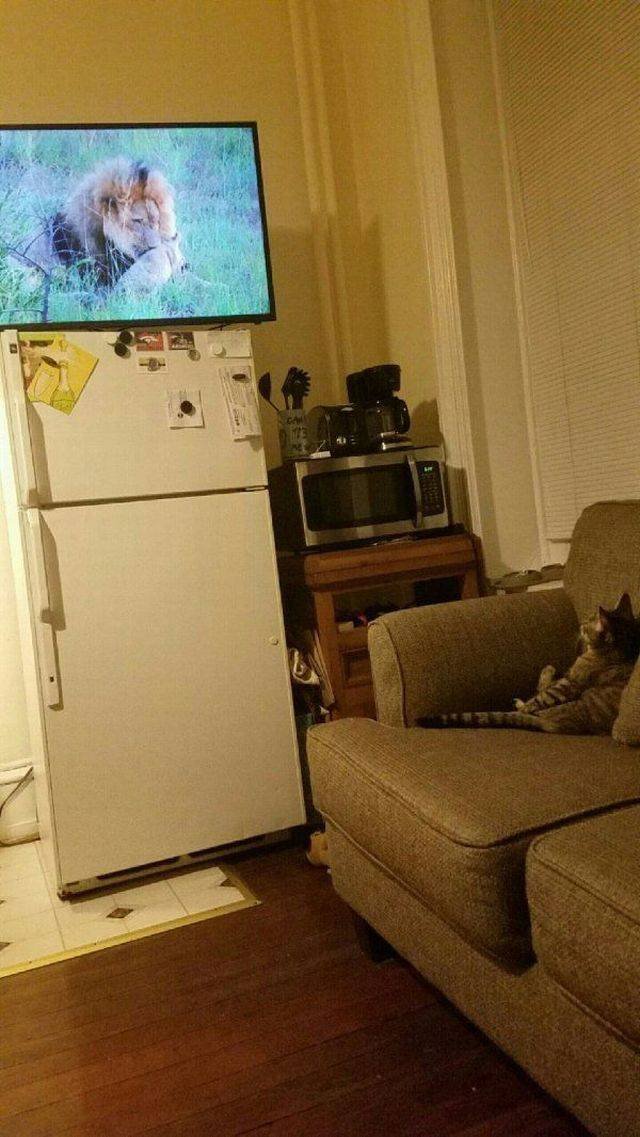 Bildschirmarbeiter - Picdump 23.12.2016