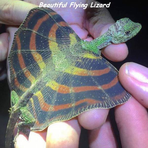 Bildschirmarbeiter - Picdump 23.12.2016