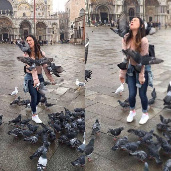 Bildschirmarbeiter - Picdump 23.12.2016