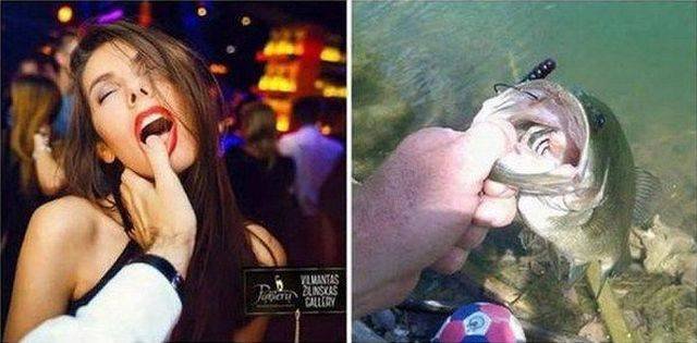 Bildschirmarbeiter - Picdump 23.12.2016