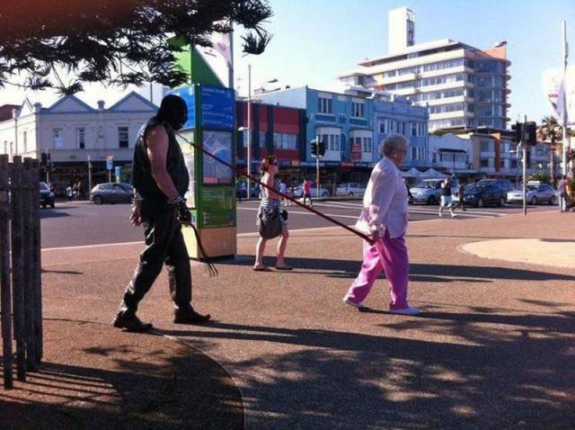 Bildschirmarbeiter - Picdump 23.12.2016