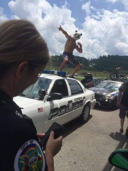 Bildschirmarbeiter - Picdump 23.12.2016