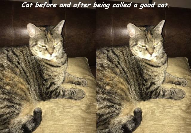 Bildschirmarbeiter - Picdump 23.12.2016