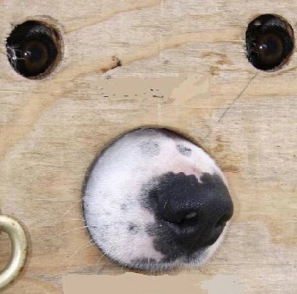 Bildschirmarbeiter - Picdump 23.12.2016