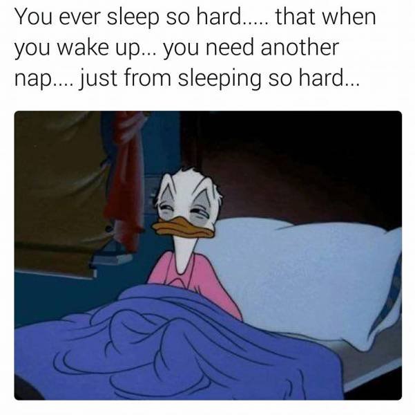 Bildschirmarbeiter - Picdump 23.12.2016