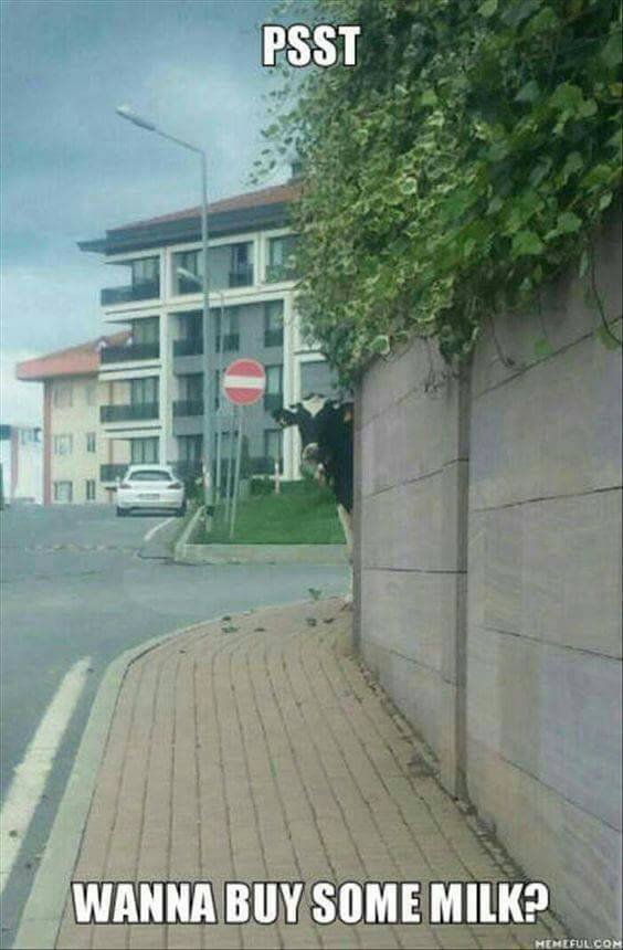 Bildschirmarbeiter - Picdump 23.12.2016