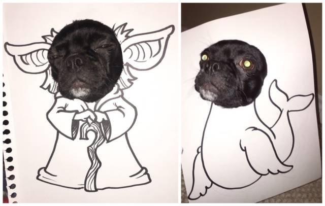 Bildschirmarbeiter - Picdump 23.12.2016