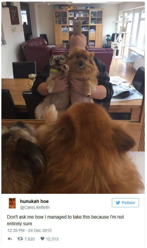 Bildschirmarbeiter - Picdump 23.12.2016