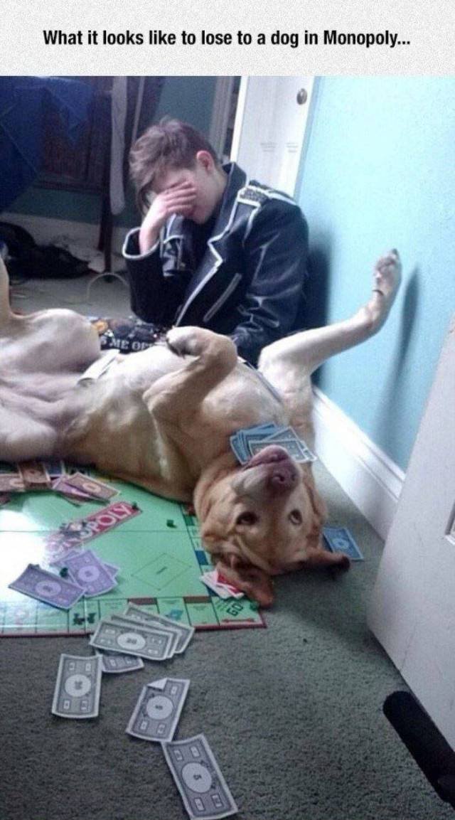 Bildschirmarbeiter - Picdump 30.12.2016