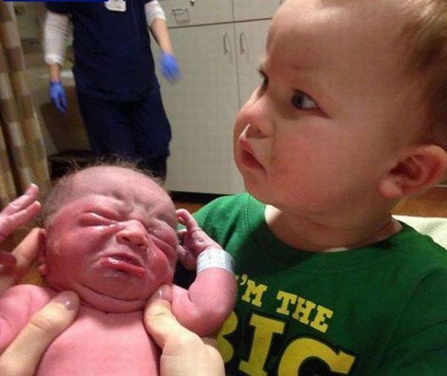 Bildschirmarbeiter - Picdump 30.12.2016