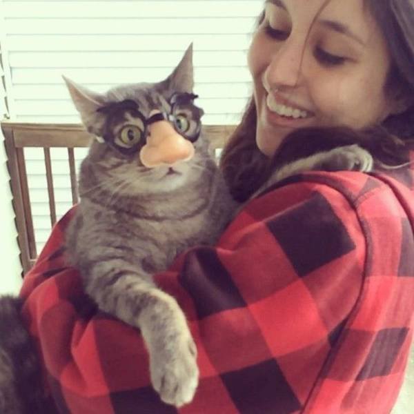 Bildschirmarbeiter - Picdump 30.12.2016