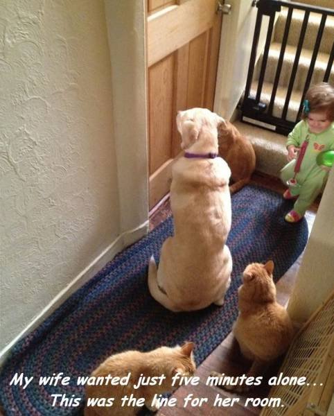 Bildschirmarbeiter - Picdump 30.12.2016