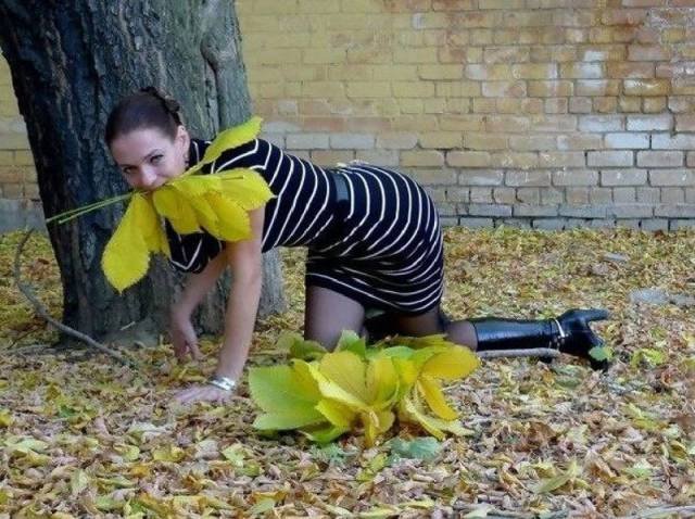 Bildschirmarbeiter - Picdump 30.12.2016