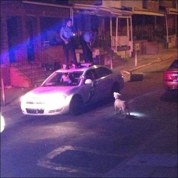 Bildschirmarbeiter - Picdump 30.12.2016