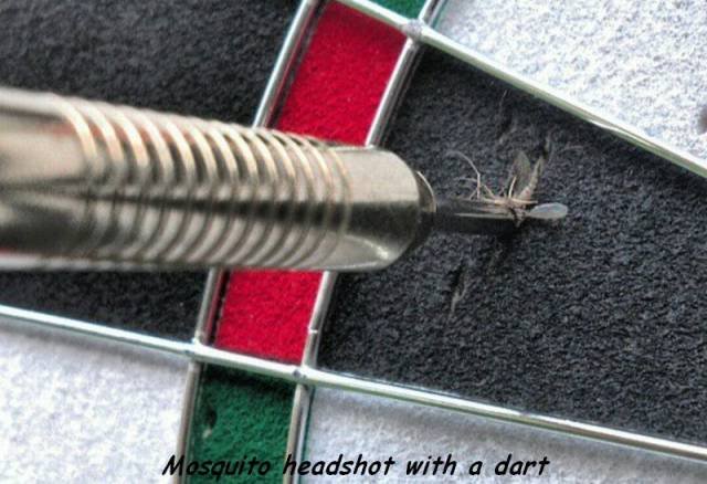 Bildschirmarbeiter - Picdump 06.01.2017