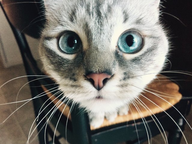 Bildschirmarbeiter - Picdump 06.01.2017