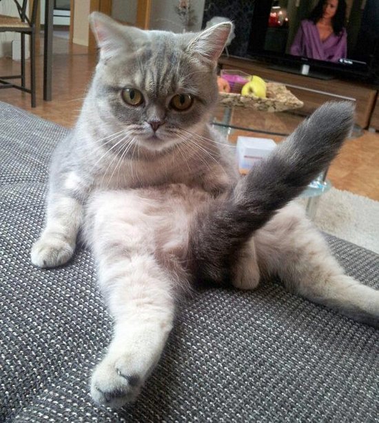 Bildschirmarbeiter - Picdump 06.01.2017