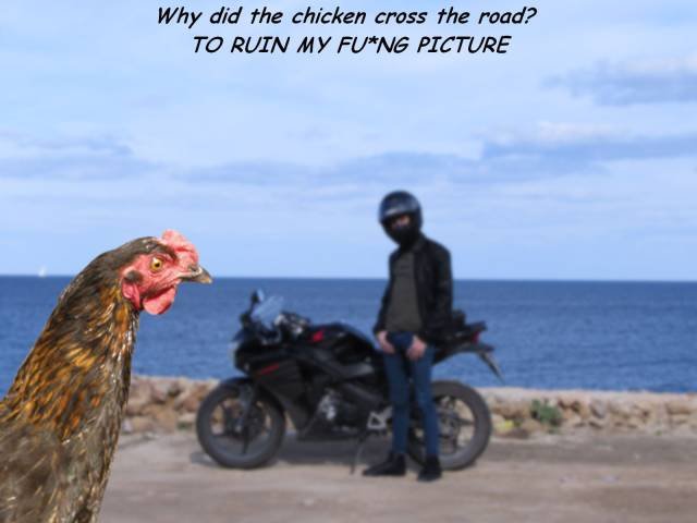 Bildschirmarbeiter - Picdump 13.01.2017