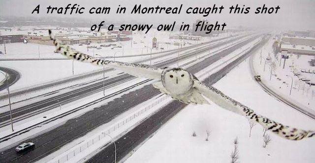 Bildschirmarbeiter - Picdump 13.01.2017