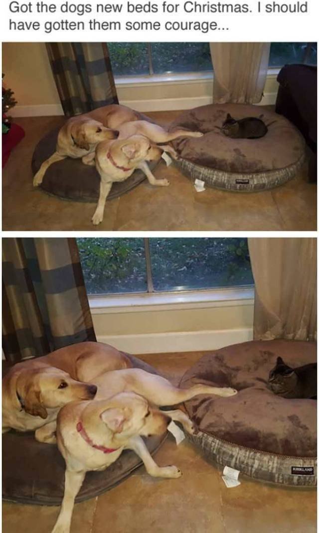 Bildschirmarbeiter - Picdump 13.01.2017