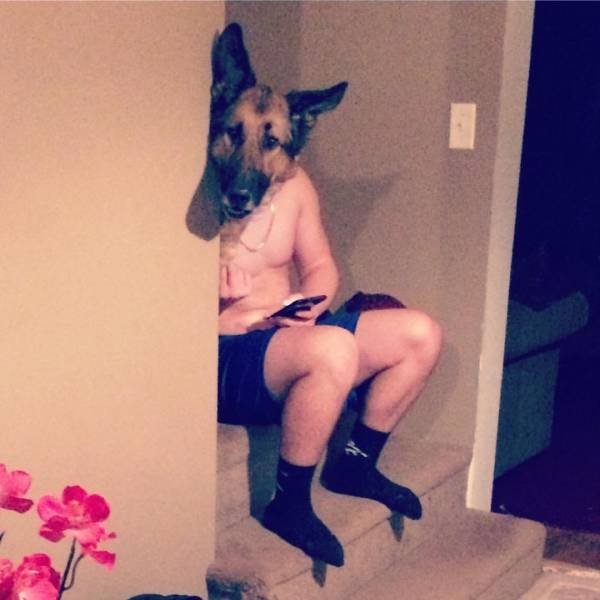 Bildschirmarbeiter - Picdump 13.01.2017