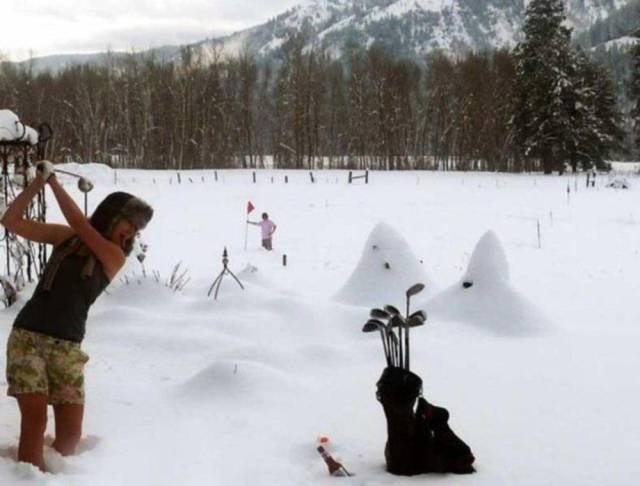 Bildschirmarbeiter - Picdump 13.01.2017