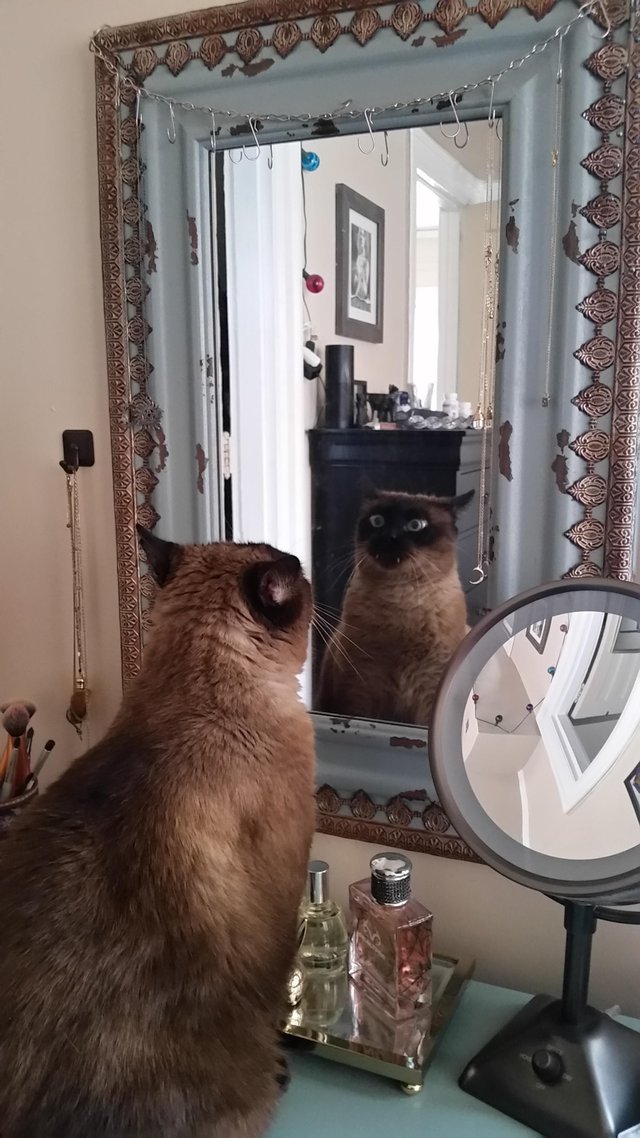 Bildschirmarbeiter - Picdump 13.01.2017