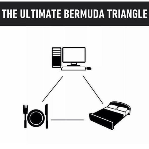 Bildschirmarbeiter - Picdump 13.01.2017