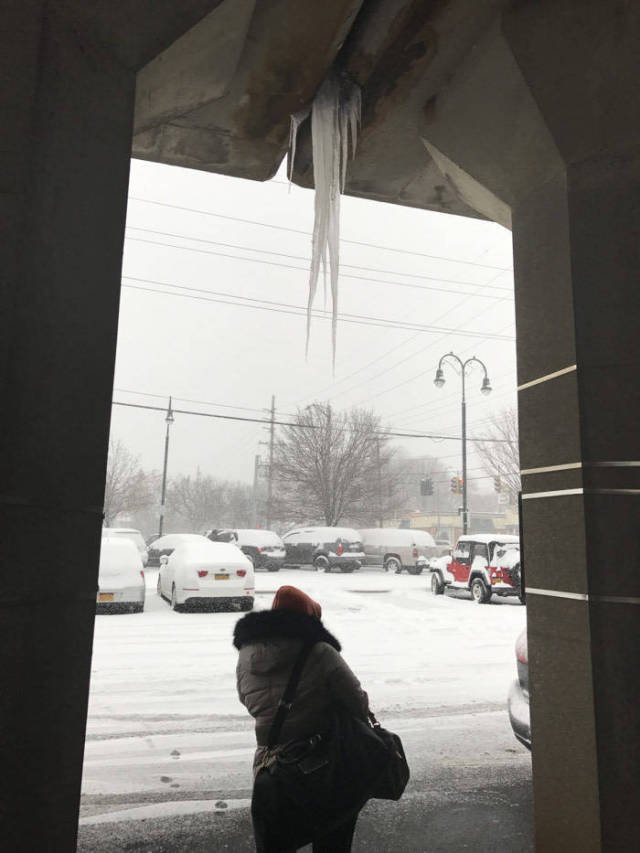 Bildschirmarbeiter - Picdump 13.01.2017