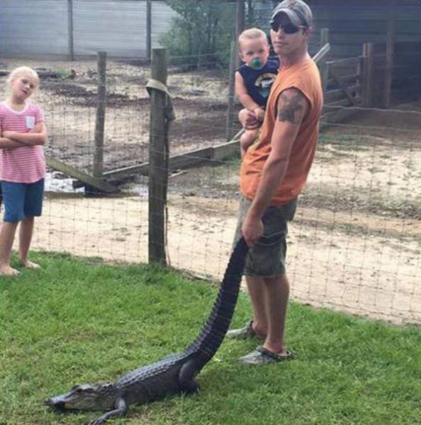 Bildschirmarbeiter - Picdump 13.01.2017