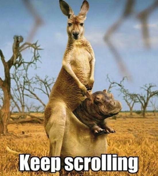 Bildschirmarbeiter - Picdump 13.01.2017