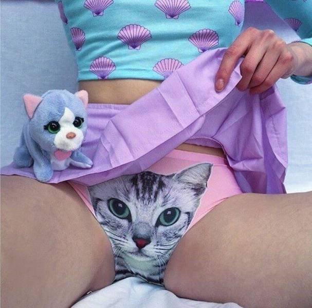 Bildschirmarbeiter - Picdump 20.01.2017 - NACHSCHLAG