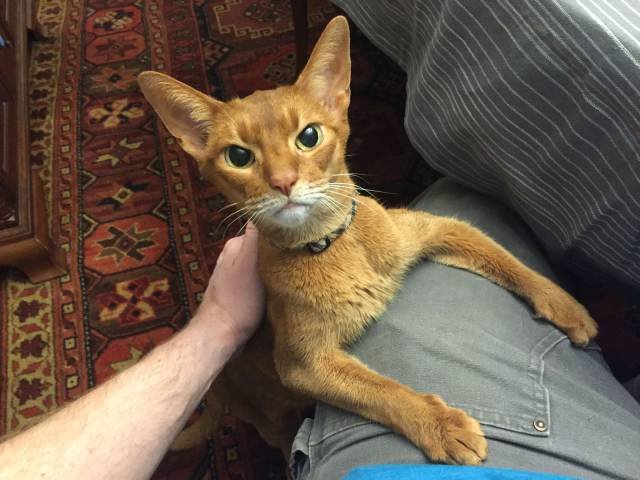 Bildschirmarbeiter - Picdump 20.01.2017 - NACHSCHLAG