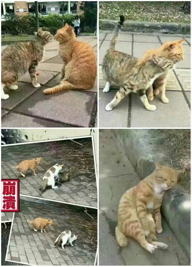 Bildschirmarbeiter - Picdump 20.01.2017 - NACHSCHLAG