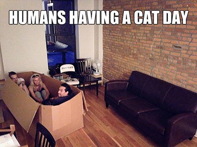 Bildschirmarbeiter - Picdump 20.01.2017 - NACHSCHLAG