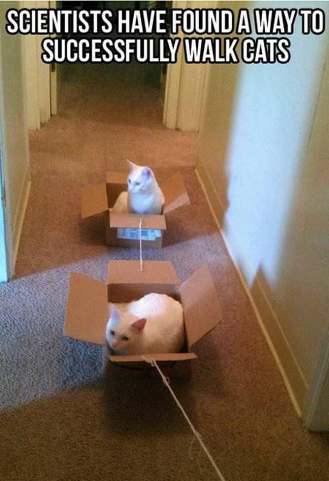 Bildschirmarbeiter - Picdump 20.01.2017 - NACHSCHLAG