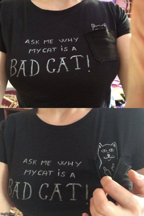 Bildschirmarbeiter - Picdump 20.01.2017 - NACHSCHLAG