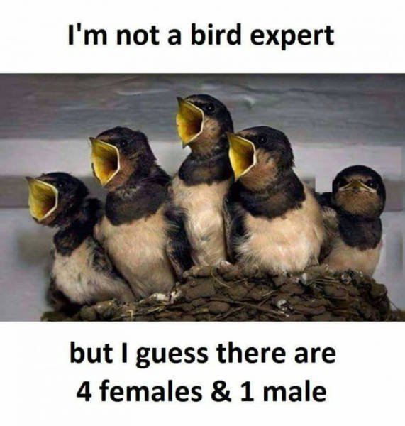 Bildschirmarbeiter - Picdump 20.01.2017 - NACHSCHLAG