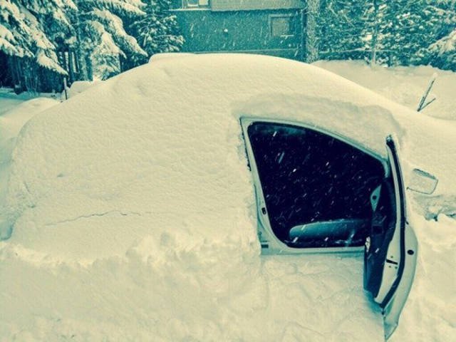 Bildschirmarbeiter - Picdump 20.01.2017 - NACHSCHLAG