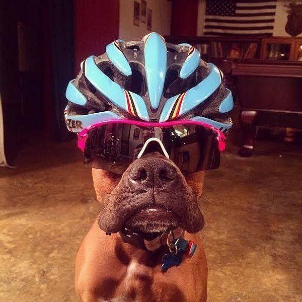 Bildschirmarbeiter - Picdump 20.01.2017 - NACHSCHLAG