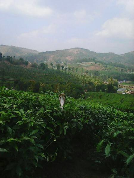 Bildschirmarbeiter - Picdump 20.01.2017 - NACHSCHLAG