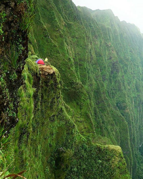 Bildschirmarbeiter - Picdump 20.01.2017 - NACHSCHLAG