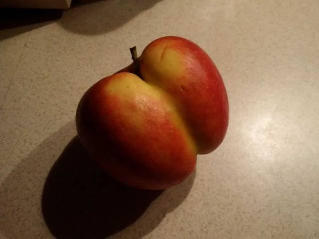 Bildschirmarbeiter - Picdump 20.01.2017 - NACHSCHLAG