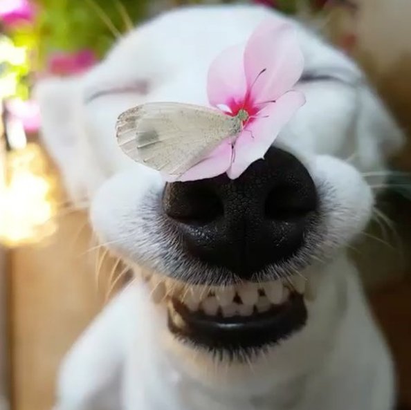 Bildschirmarbeiter - Picdump 20.01.2017 - NACHSCHLAG