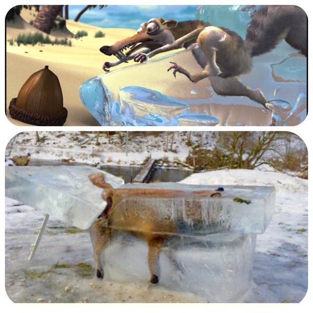 Bildschirmarbeiter - Picdump 20.01.2017 - NACHSCHLAG