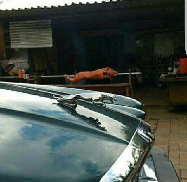 Bildschirmarbeiter - Picdump 20.01.2017 - NACHSCHLAG