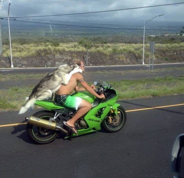 Bildschirmarbeiter - Picdump 20.01.2017