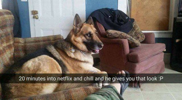 Bildschirmarbeiter - Picdump 20.01.2017