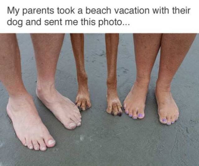 Bildschirmarbeiter - Picdump 20.01.2017